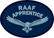 Apprentice Cloth Badge.jpg